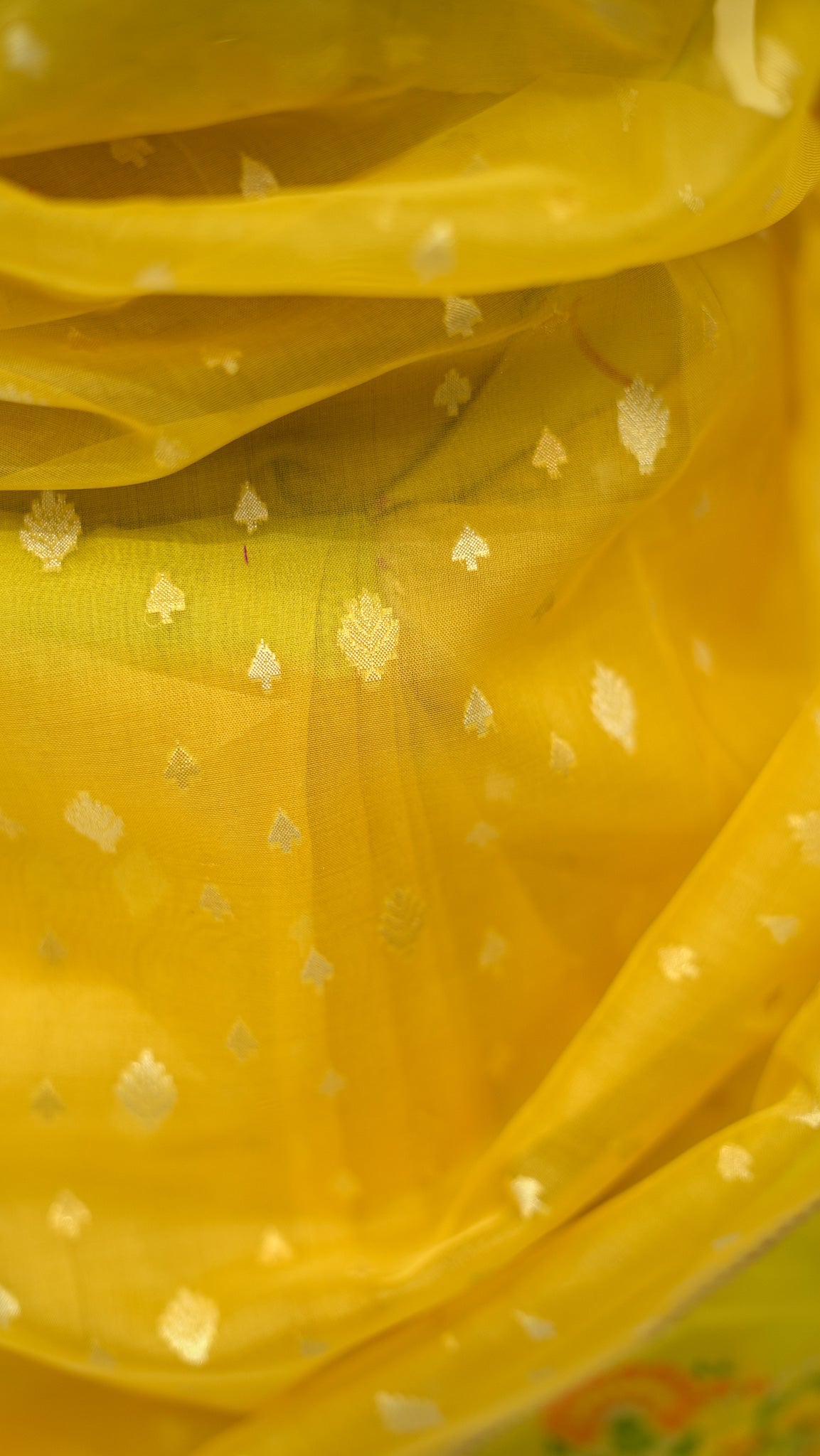 Sunflower Meadow Kora Silk Saree