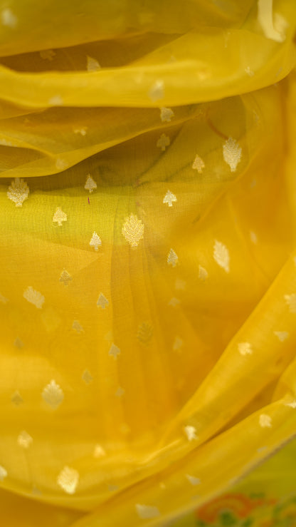 Sunflower Meadow Kora Silk Saree